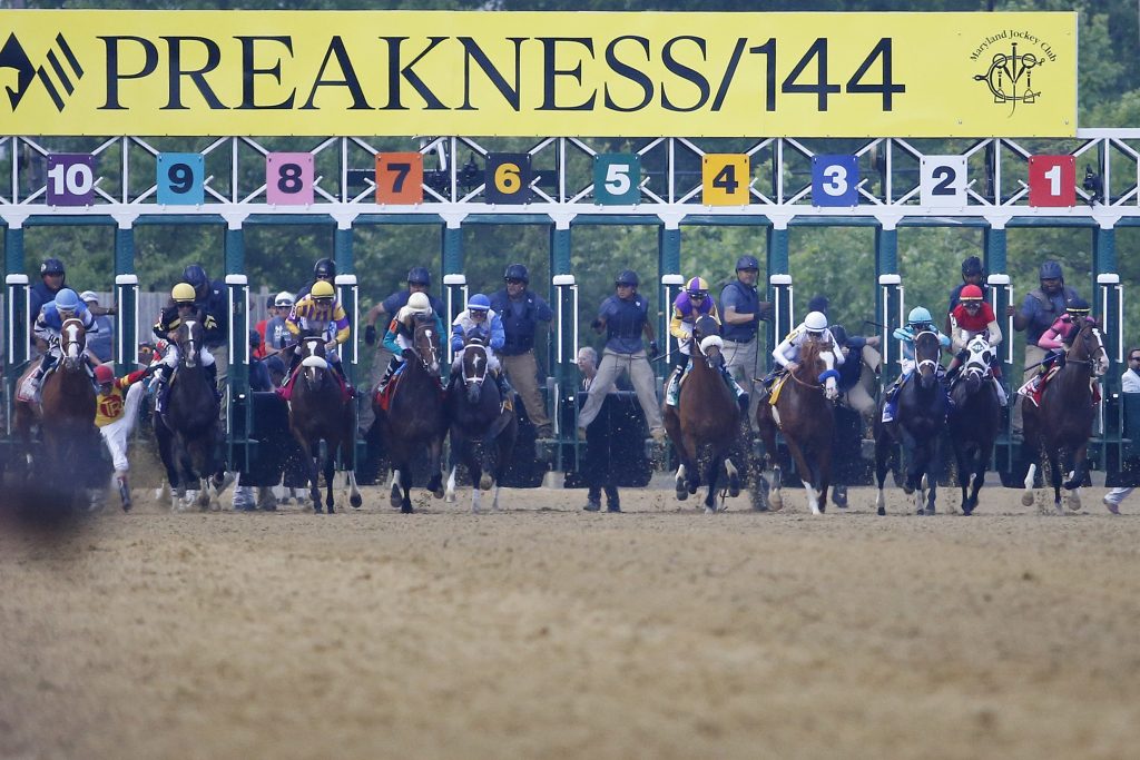 حصان يخوض السباق لوحده