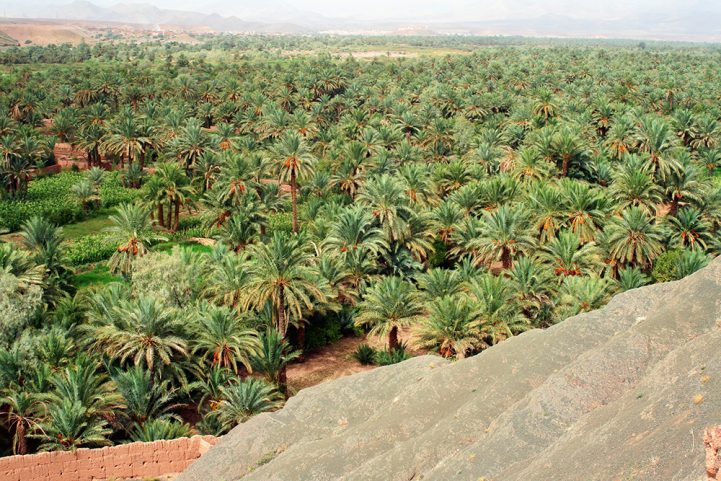 واحة خصبة تتصدر الجبال في أجوبت في وادي درعة/ Istock