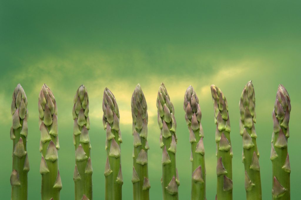 أطعمة ملوِّثة للبيئة