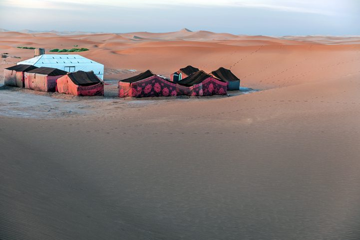 الحياة البرية الصحراوية في جنوب المغرب/ Istock