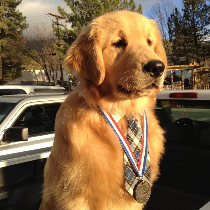 رئيس بلدية إيدلويلد بولاية كاليفورنيا