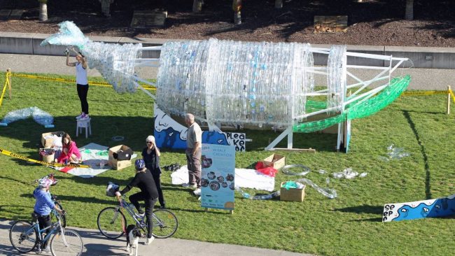 شابة تصنع حوتاً بلاستيكياً عملاقاً من النفايات دعماً لحملة بيئية