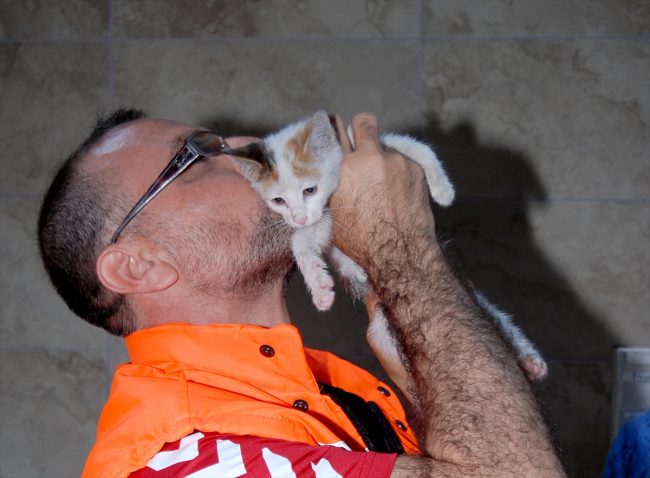 فيديو مؤثر لعامل ببلدية إسطنبول ينقذ قطة من الغرق بالتنفس الاصطناعي.. فقدت الوعي بعد انجرافها في الأمطار