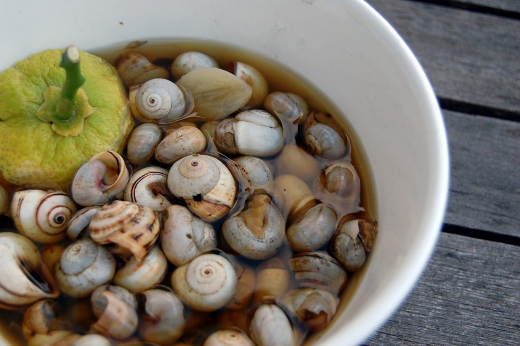 طريقة عمل شوربة الحلزون