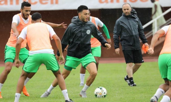 بلماضي: صعوبة كأس الأمم تبدأ في ربع النهائي بالنسبة لمحاربي الصحراء