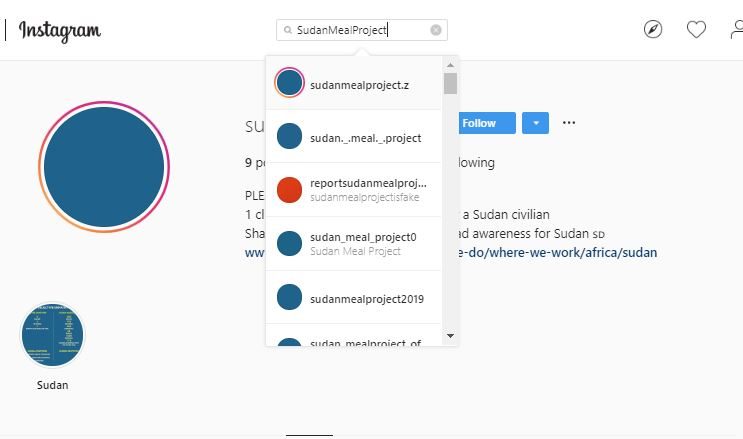 جمع أحد الحسابات، وهو SudanMealProject@، ما يقرب من 400 ألف متابع في أقل من أسبوع، قبل أن يحذفه إنستغرام