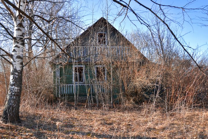 iStock/ أصبحت المنطقة المحيطة بتشرنوبل تُعرف بـ 