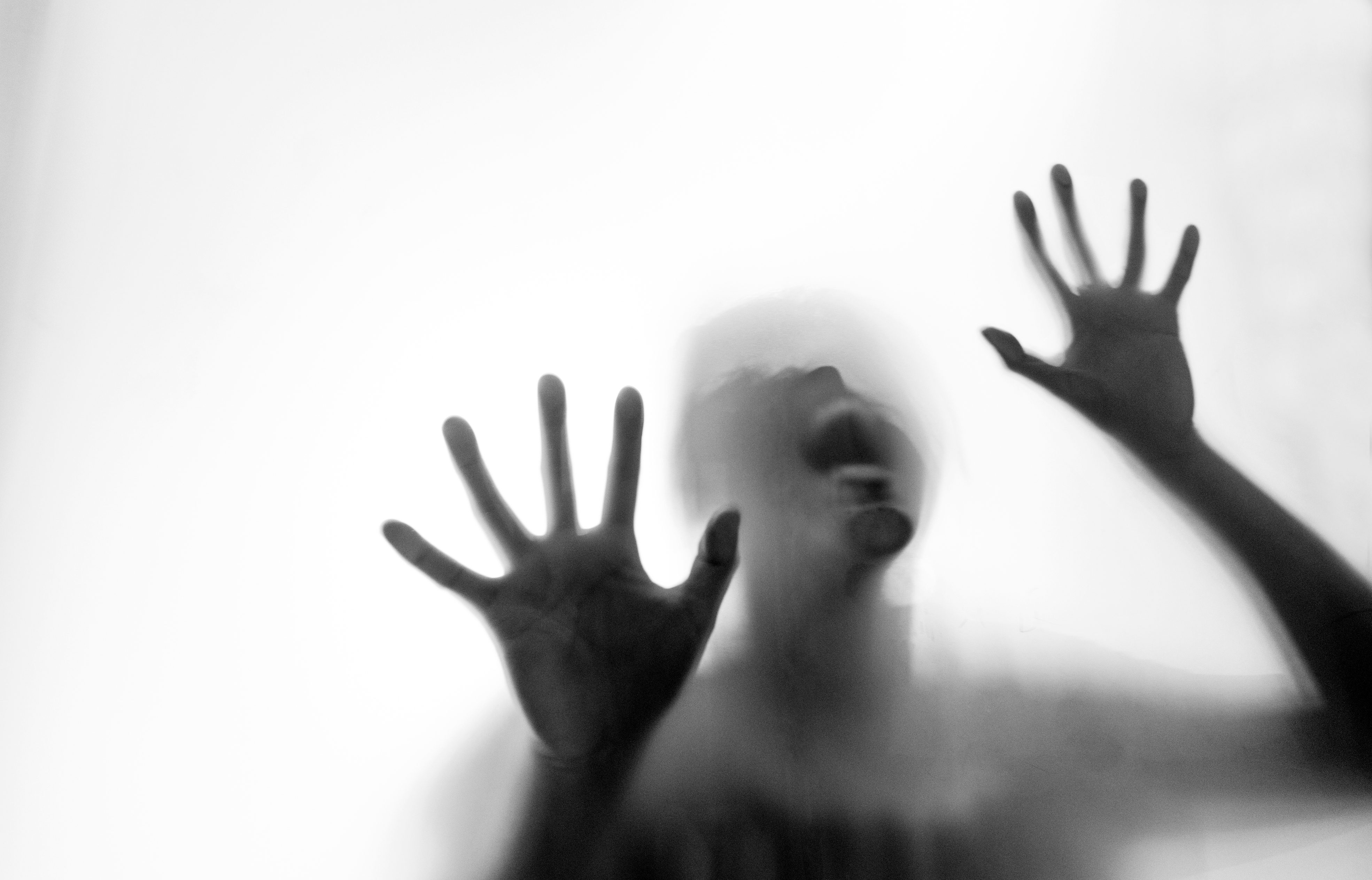 الهروب إلى التطرف.. قصة عائلة صومالية في أمريكا تعرَّض ابنُها لعنصرية ففكر في الالتحاق بداعش