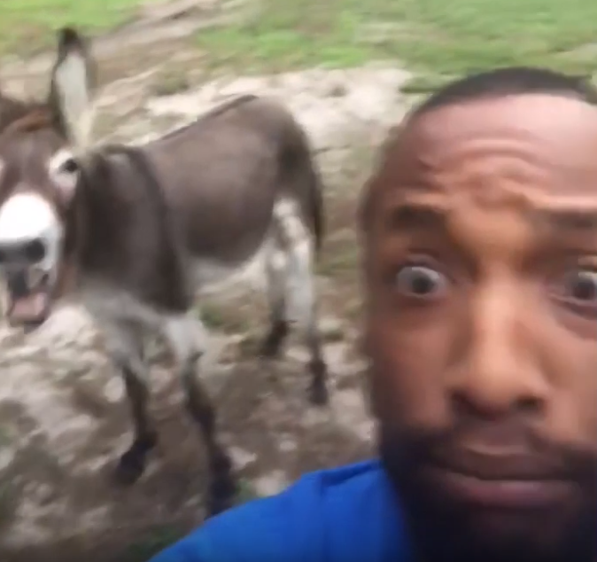 فيديو لحمار يغني مع مالكه