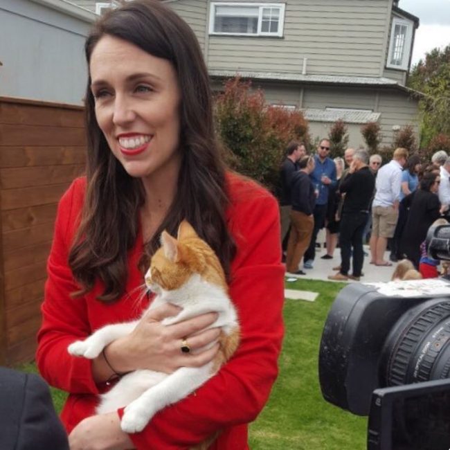 قاتل قطة رئيسة وزراء نيوزيلندا يتحدث عن رد فعلها بعد الحادث