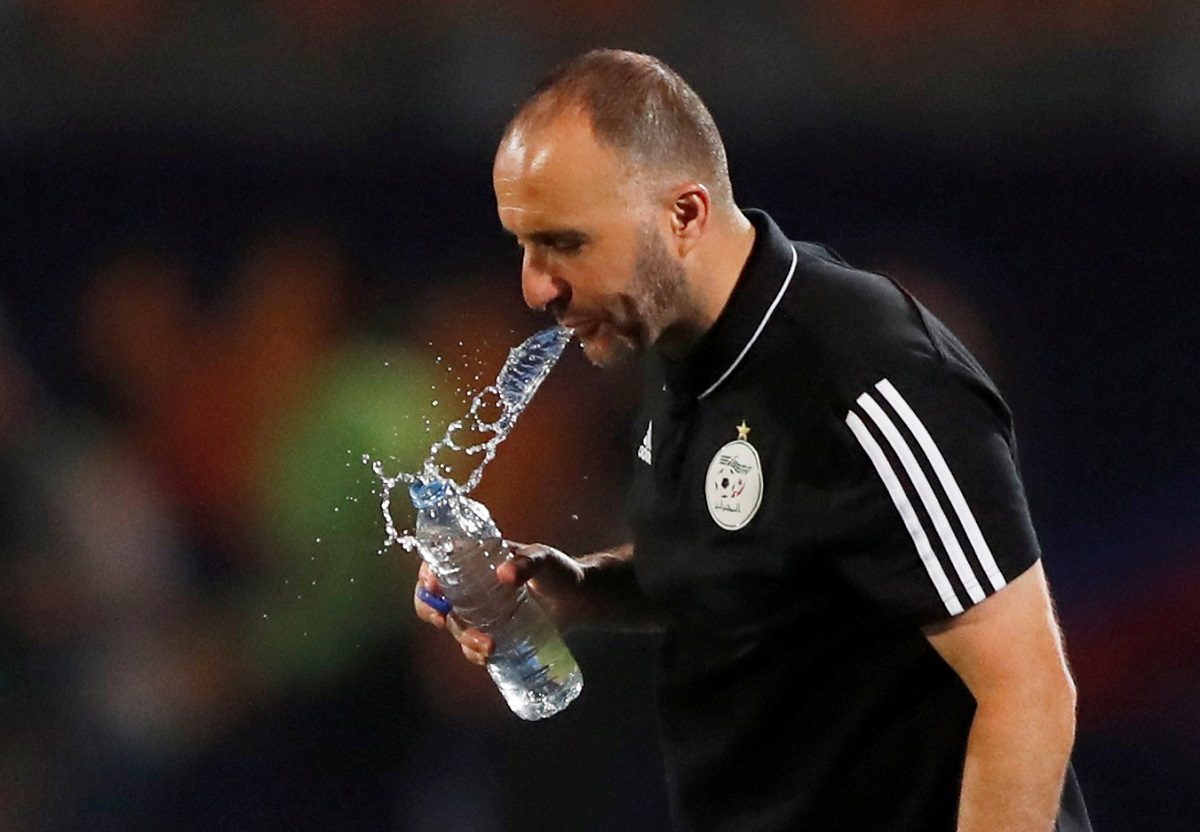 علاجها في تعويذة الساحر الأبيض.. «نبوءة بلماضي» العائق الأخير بين محاربي الصحراء واللقب الإفريقي