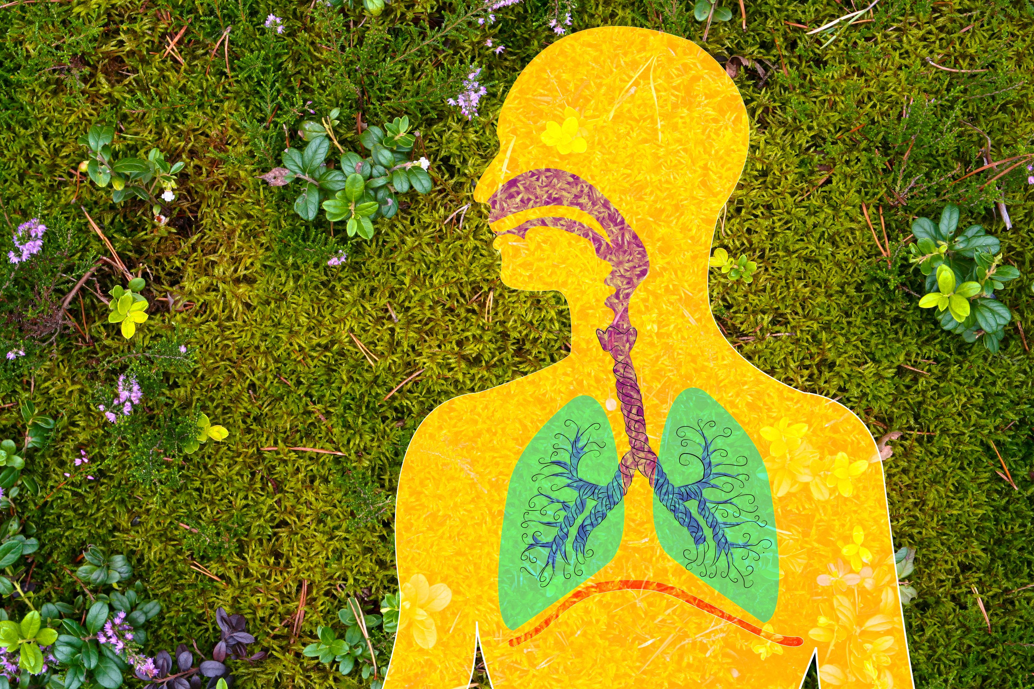 أطعمة تُحسّن أعراض الربو وأخرى تُزيد الأمور سوءاً.. تعرّف عليها