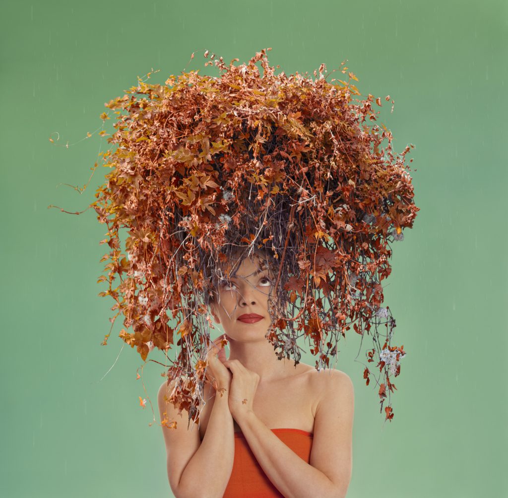 أسباب تساقط الشعر