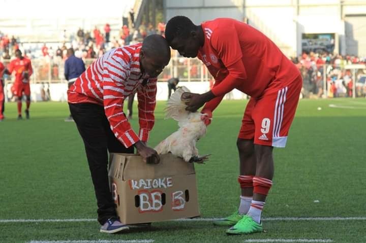 مهاجم إفريقي يتلقَّى دجاجة حية مكافأة تألقه والنادي يوضح.. المشجعون يمنعون اللاعبين من ركوب الحافلة عند الهزيمة