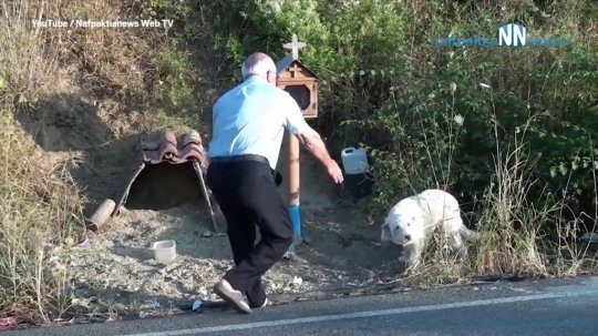 كلب ينتظر مالكه لعام ونصف في المكان نفسه حيث توفِّي!