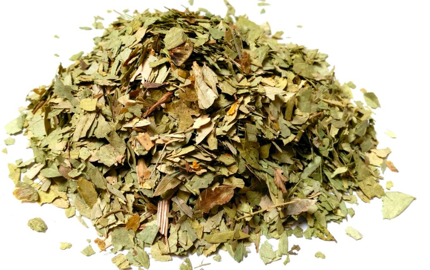 عشبة السّنا