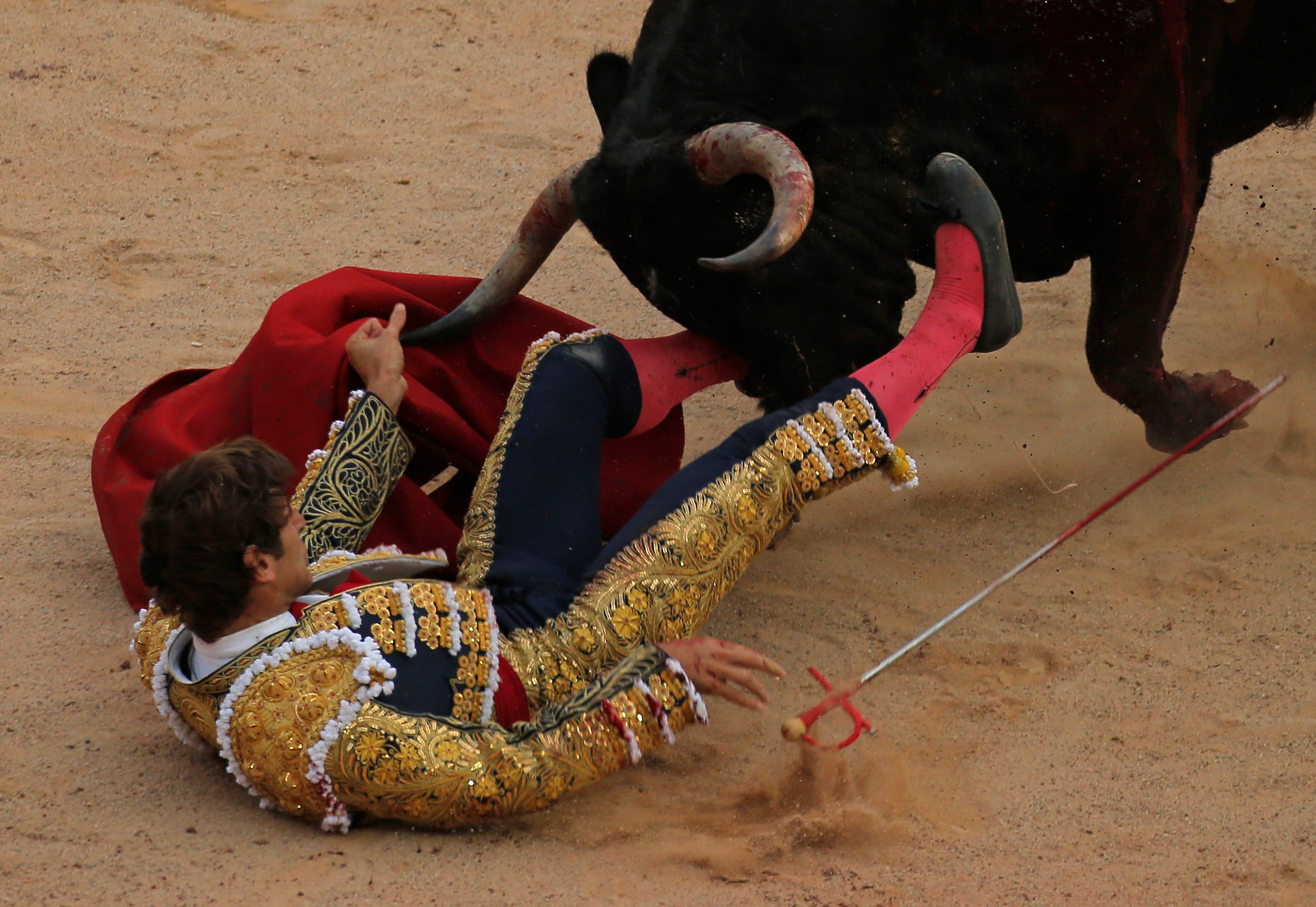 ثور هائج مهرجان إسبانيا مصارعة الثيران