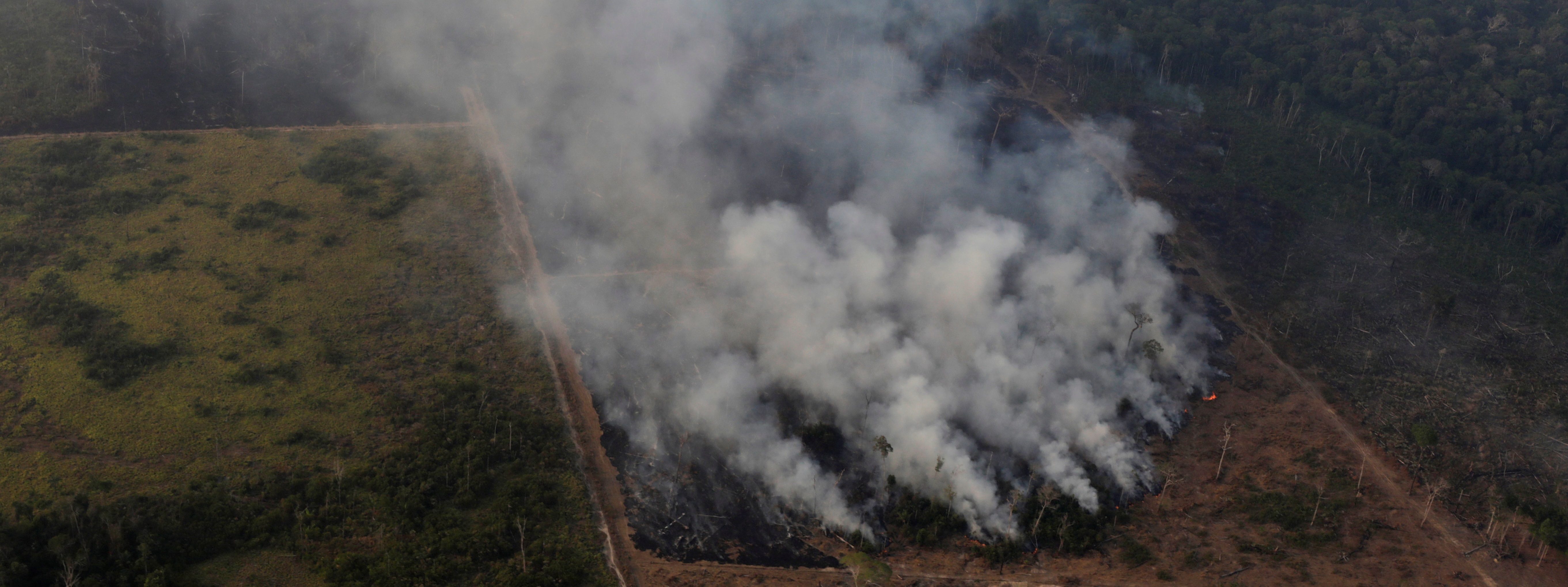 «رئة الأرض» تحترق.. قصة كارثة غابات الأمازون التي يرفض رئيس البرازيل تدويلها