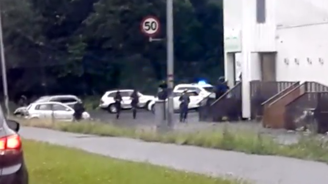 سفاج النرويج