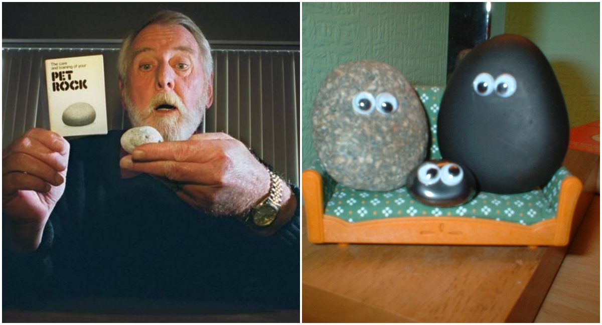 «الملياردير التافه».. باع الحجارة على أنها حيوانات أليفة وكتب معها دليل استخدام درَّ عليه أموالاً طائلة