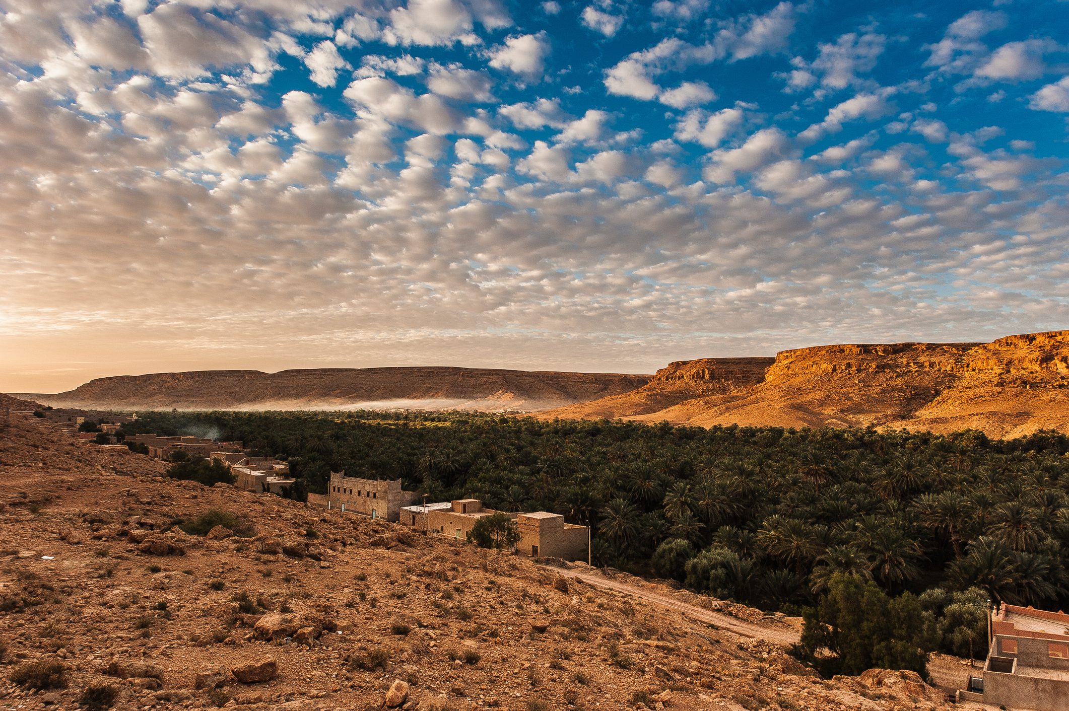 مركز للثقافة الأمازيغية.. دليلك الشامل لزيارة «زاكورة» المغربية