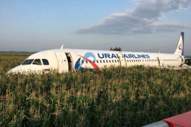 طيور النورس تجبر طائرة ركاب روسية على الهبوط اضطرارياً في حقل ذرة