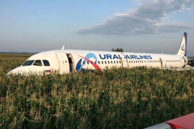 طيور النورس تجبر طائرة ركاب روسية على الهبوط اضطرارياً في حقل ذرة (صور)