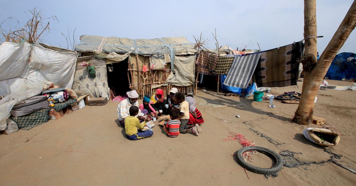 تحذير أممي من أسراب ضخمة من الجراد ستجتاح اليمن مع غياب سبل مكافحتها