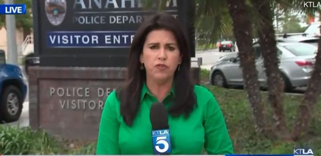 أمريكا صحفية أمريكية مراسلة تلفزيونية