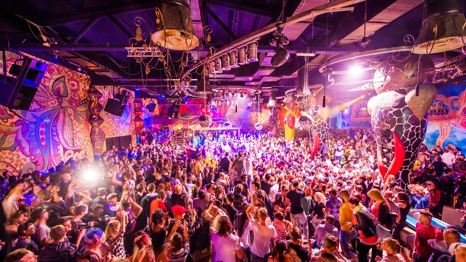 «يوتوبيا» زائفة وقطار الطبقية سيدهسك.. الحياة في الساحل الشمالي