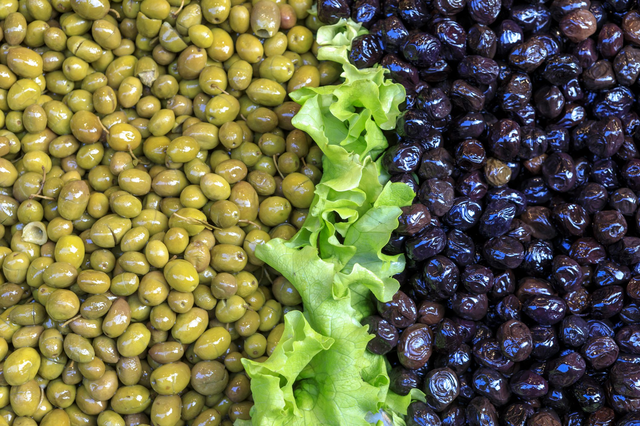 الفرق بين الزيتون الأخضر والأسود