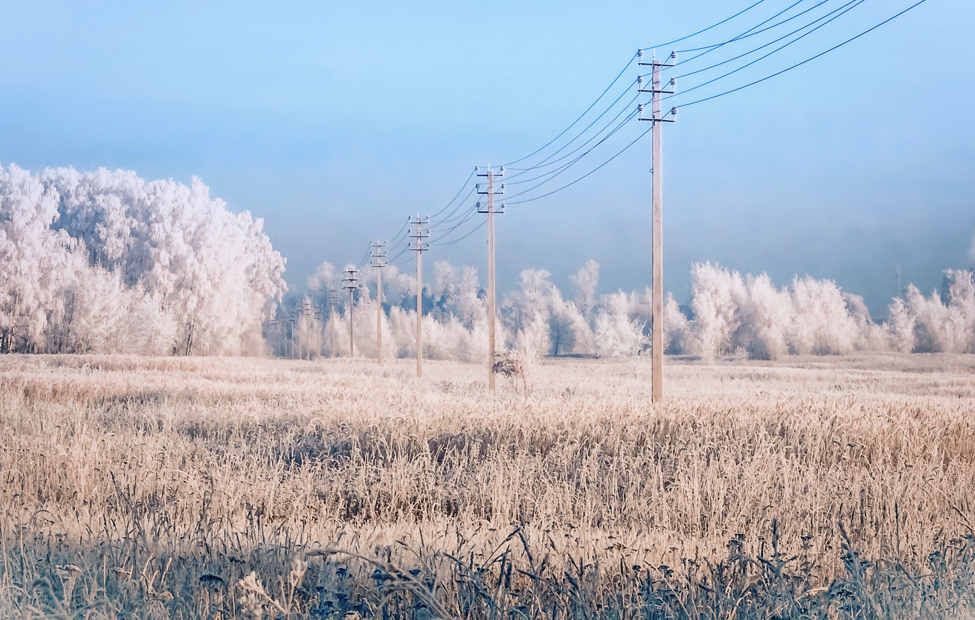 تساقط الثلوج/ ISTOCK