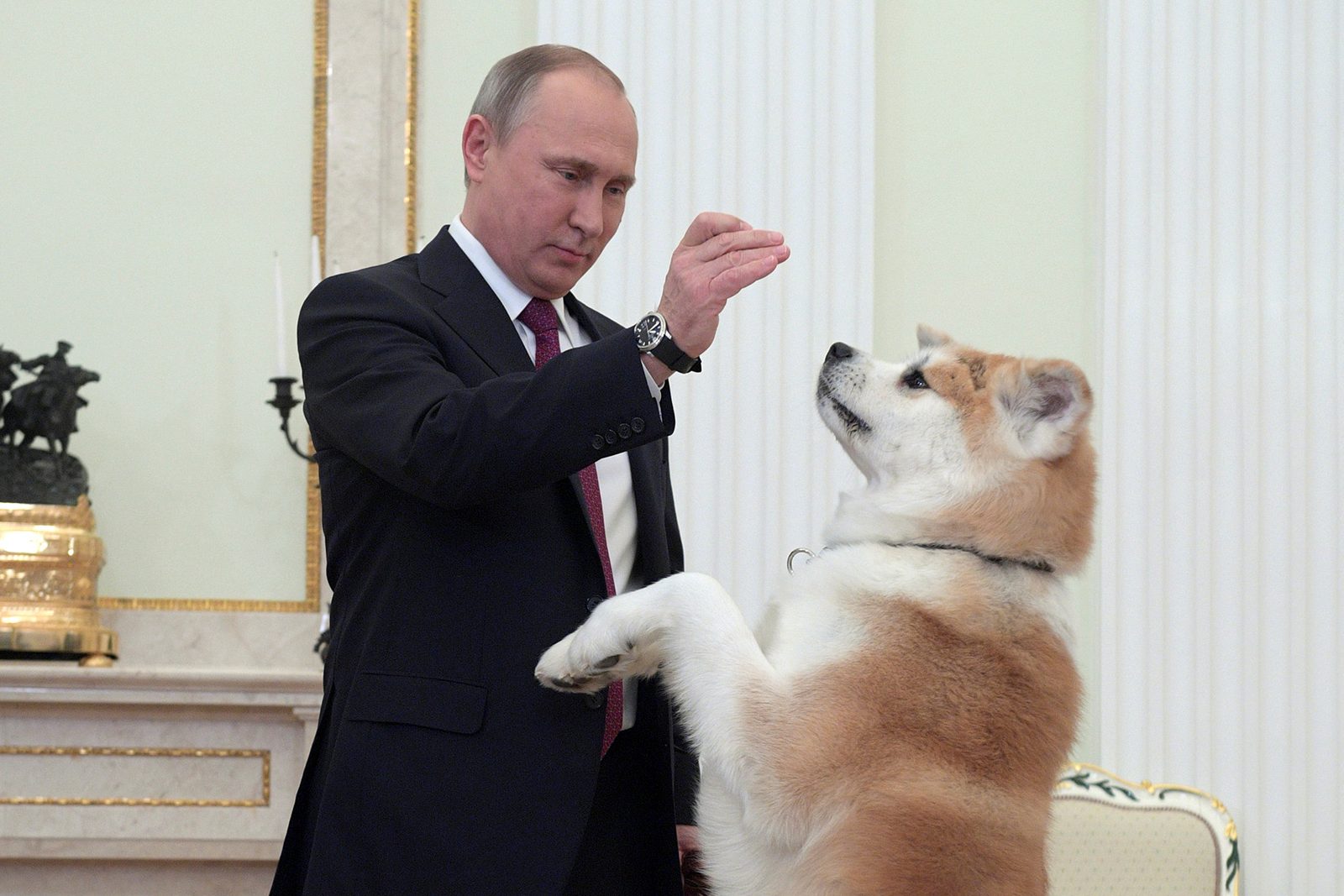 اهتمام أقل بالنمو مقابل الصمود أمام الأزمات.. كيف بنى بوتين حصوناً اقتصادية للتغلب على العقوبات الدولية؟