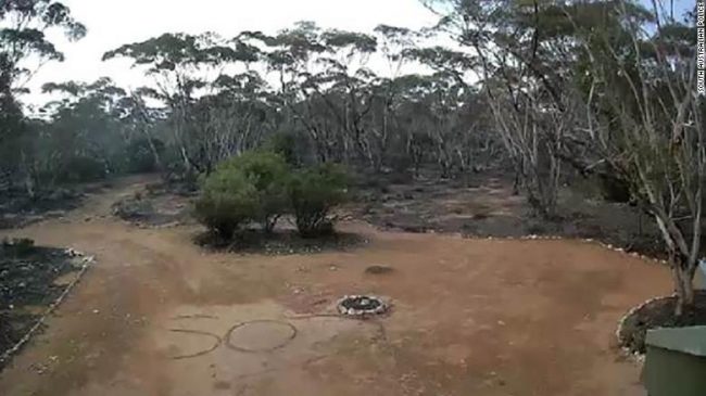 فشلت الطائرات والشرطة في إيجادها.. كاميرا تنقذ سيدة تاهت 3 أيام أثناء رحلة تخييم