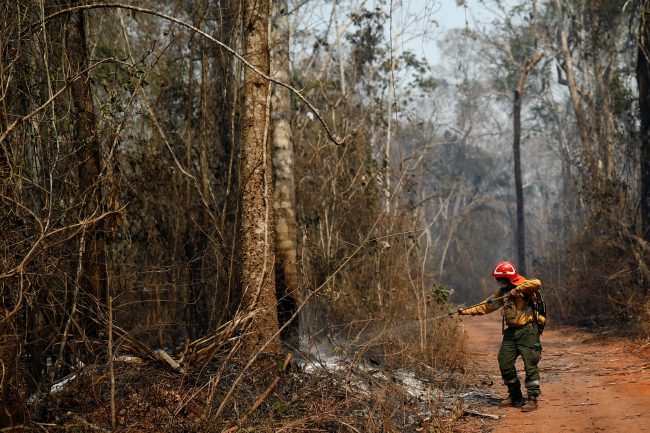 الأمطار تخمد حرائق مستعرة بغابات الأمازون في بوليفيا منذ شهرين