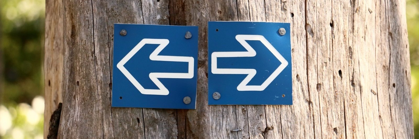 لماذا نتعاون مع المختلفين معنا؟ عن فتنة «الاعتزال والمخاصمة»