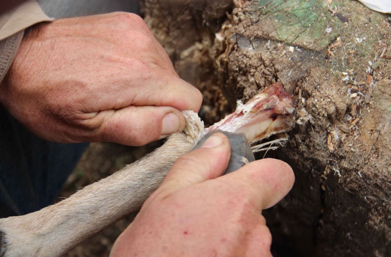 دليل يرجع لـ400 ألف عام يرجّح تخزين البشر القدامى وجباتهم لمواجهة ندرة الطعام