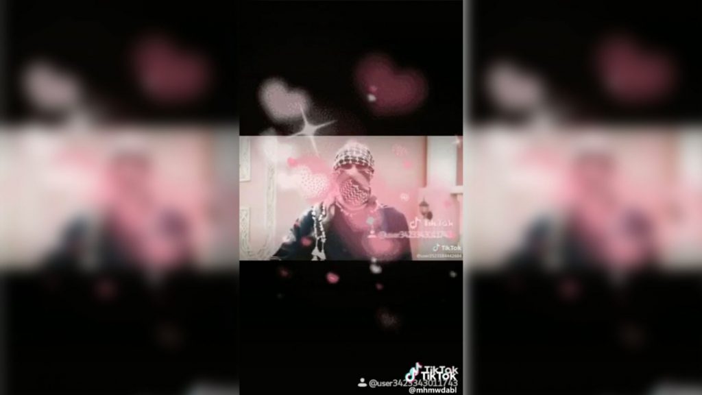 صحف أمريكية: داعش يستخدم تطبيق TikTok لنشر دعايته
