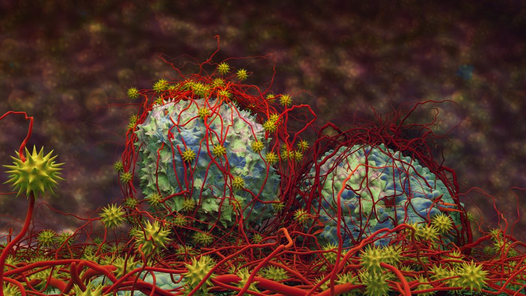 معلومات مهمة عن السرطان