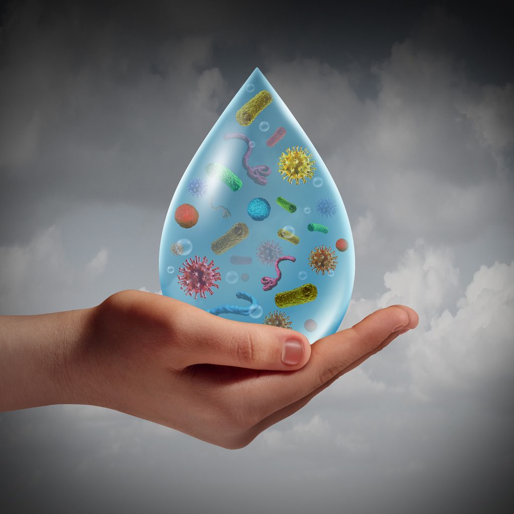 أخطر أنواع البكتيريا