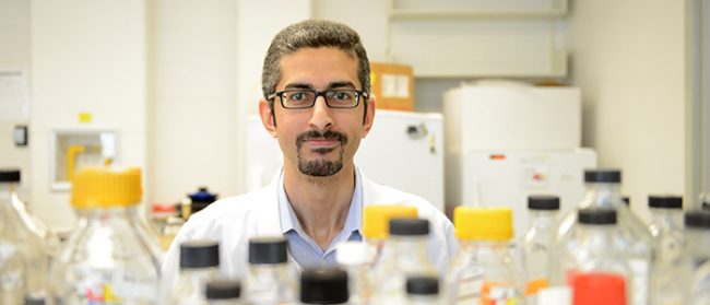 صيدلي مصري قد ينقذ العالم من الخطر.. قصة الاكتشاف الطبي الذي سيحمي الإنسان من الميكروبات المقاومة للمضادات الحيوية