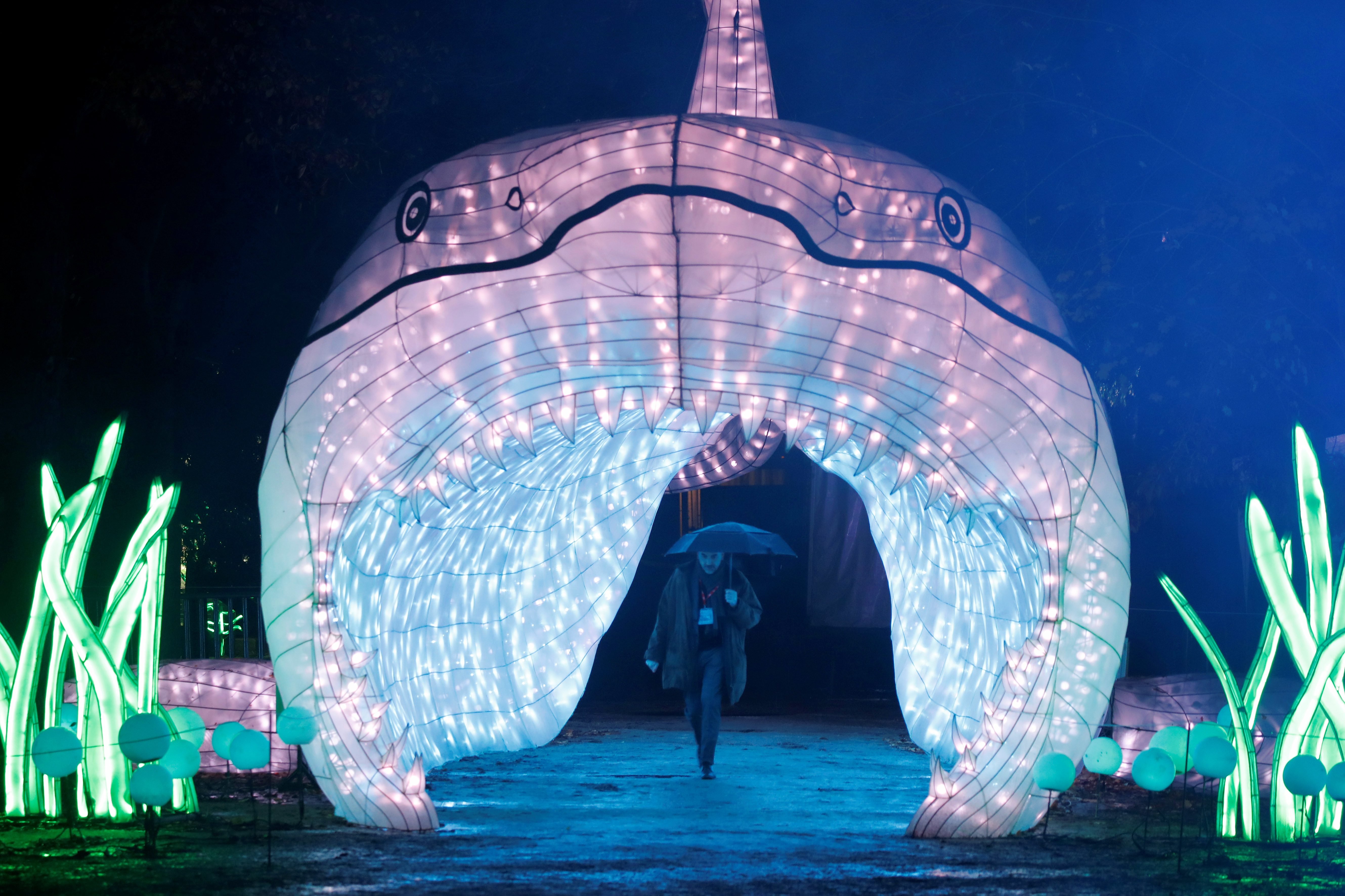 حديقة نباتات عمرها أربعة قرون، في العاصمة الفرنسية باريس/رويترز