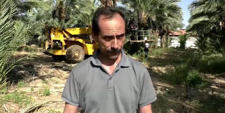 سرعان ما سيتوفر تمر بركات على أرفف المتاجر الأوروبية، حيث يزيد الطلب عليه خاصة في أسواق فرنسا وإيطاليا وبلجيكا والسويد