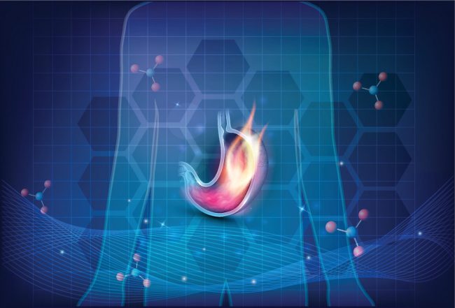 تعرف على ميكروبيوم الأمعاء، وهل يزداد تنوعه بالتعرض لضوء الشمس؟