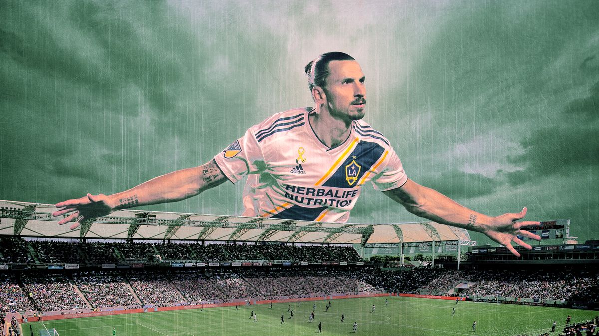 «إن لم تؤمن بالله، فإنك لا تؤمن بزلاتان».. الوجه الحقيقيّ لسارق الدراجات الهوائية السويدي