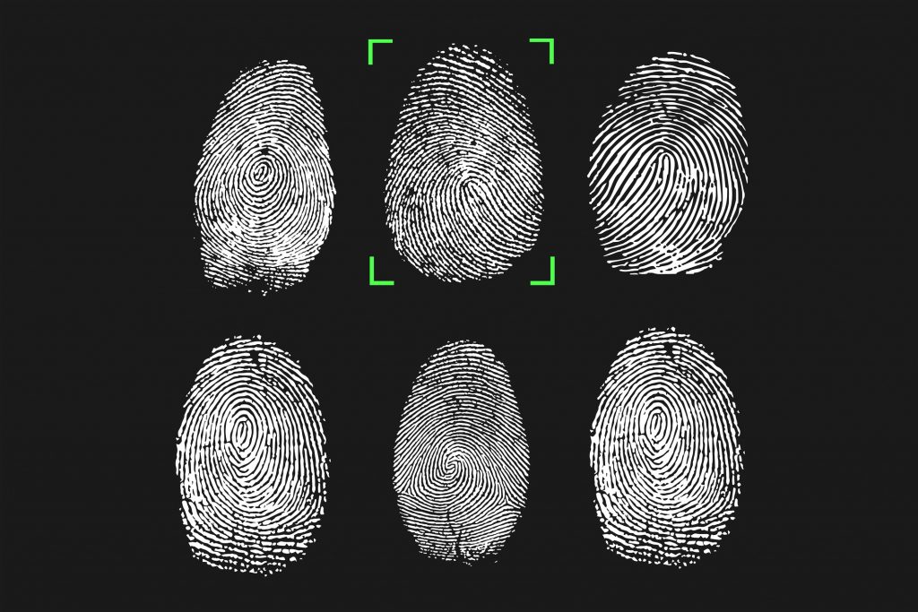 لماذا لدينا بصمات الأصابع؟