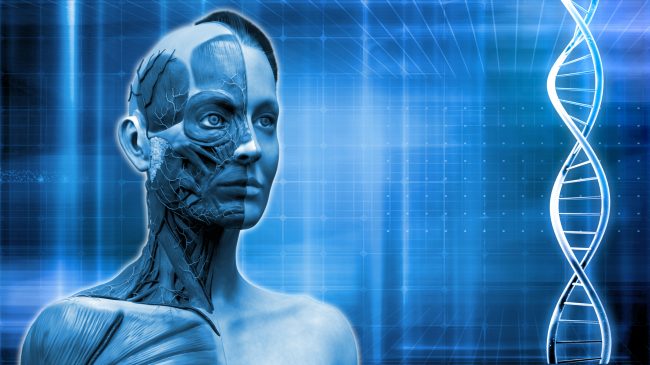 يتحكم في تعابير الوجه ورمش العين.. تعرف على العصب السابع وعلاقته بشلل الوجه النصفي