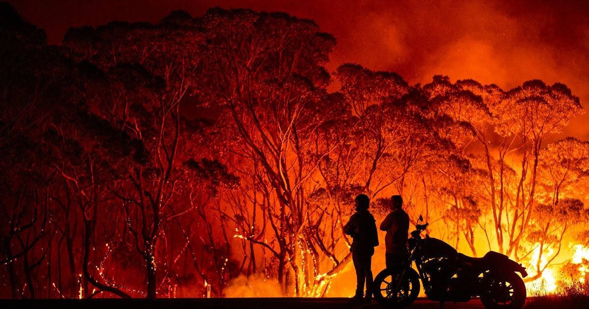فقدنا مليار حيوان.. 7 أشياء ينبغي عليك معرفتها عن كارثة حرائق أستراليا