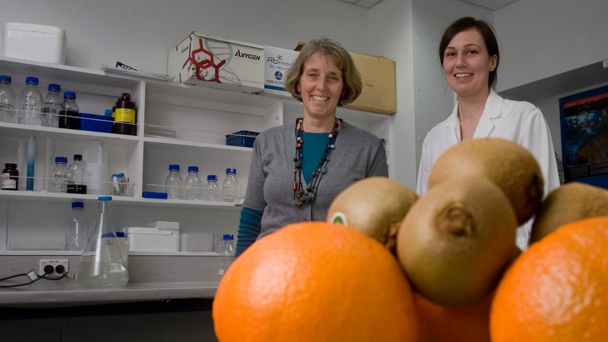 لماذا يقف العلم عاجزاً عن هزيمة السرطان حتى الآن؟ ربما حان الوقت لنظرية جديدة