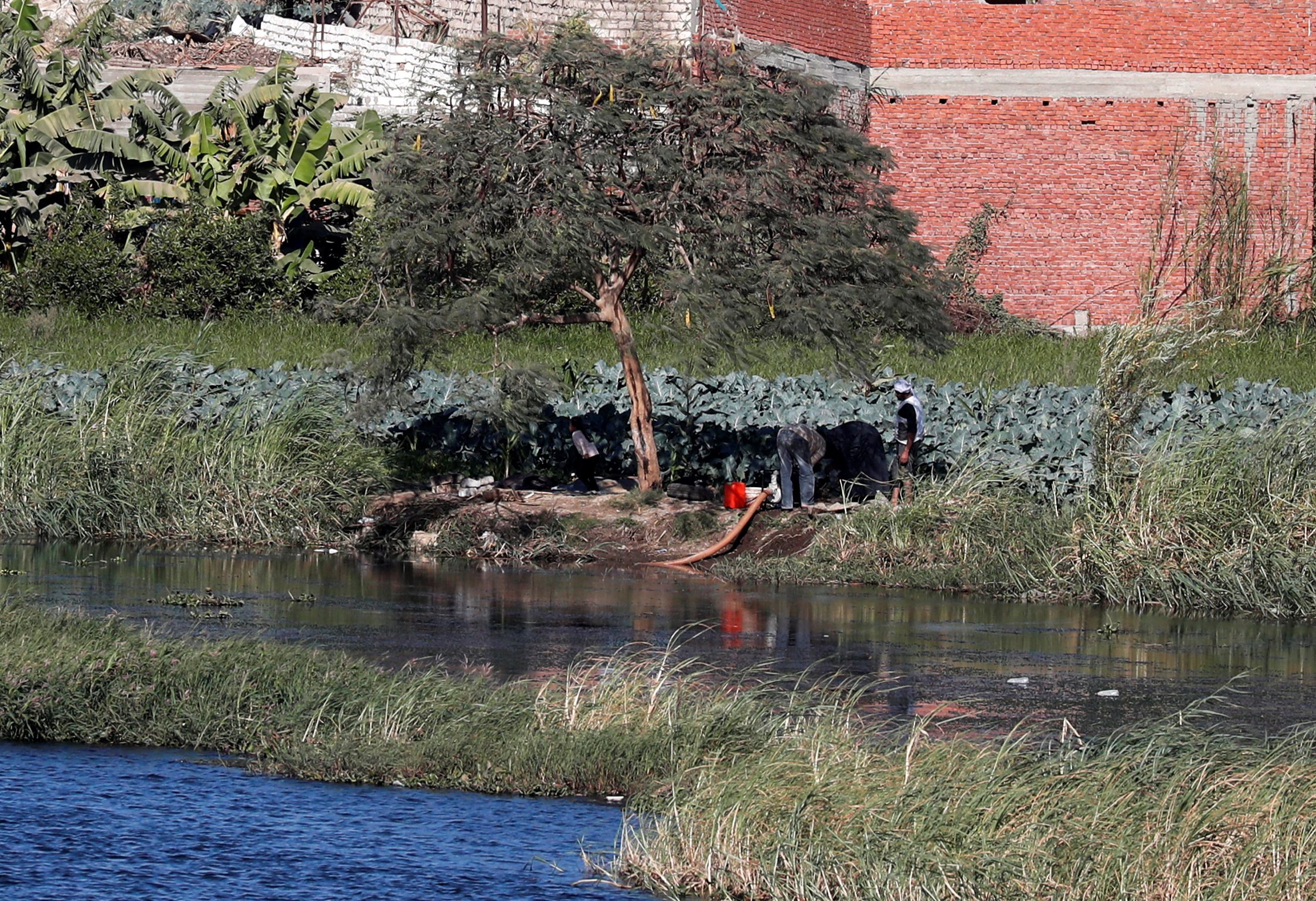 نهر النيل الأمازون أطول نهر في العالم